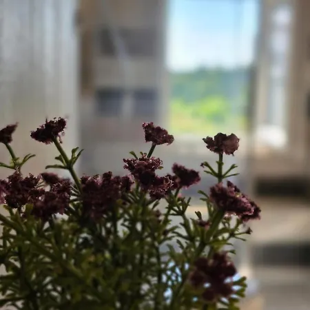 Casale,relax,oasi Di Pace Ferienhaus *